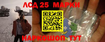 Альфа ПВП Ставрополь