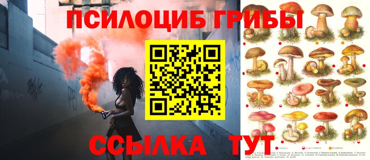 Электрогорск  Галлюциногенные грибы GOLDEN TEACHER  Галлюциногенные грибы мухоморы  Вход с VPN 